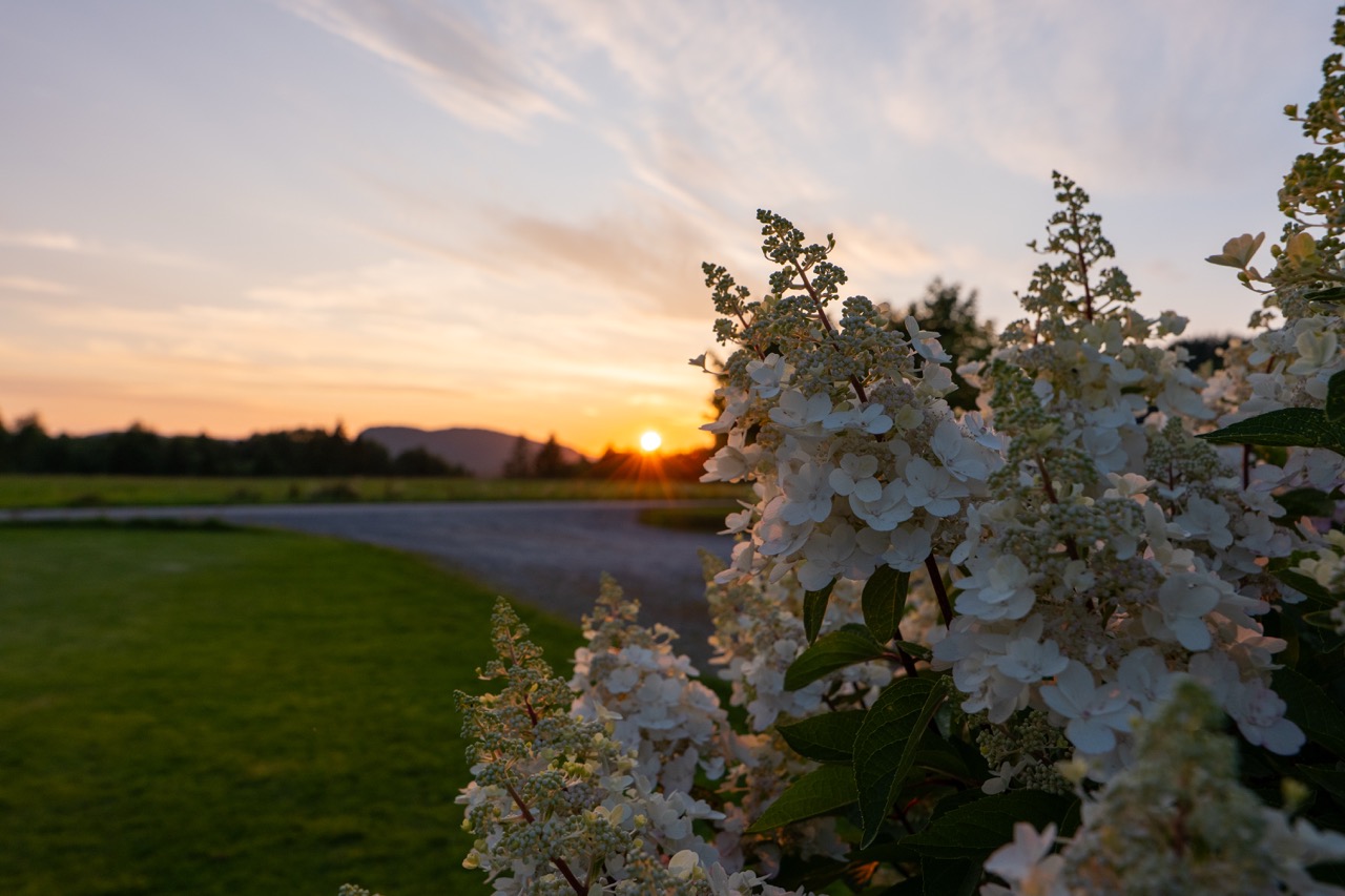 Sommerkveld på Elset Gård